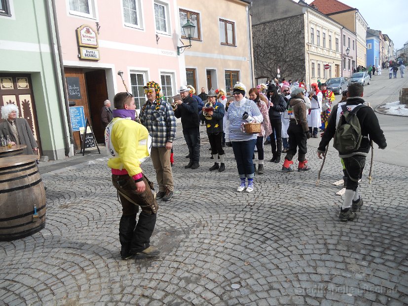 2013_02_09 Fasching (7)